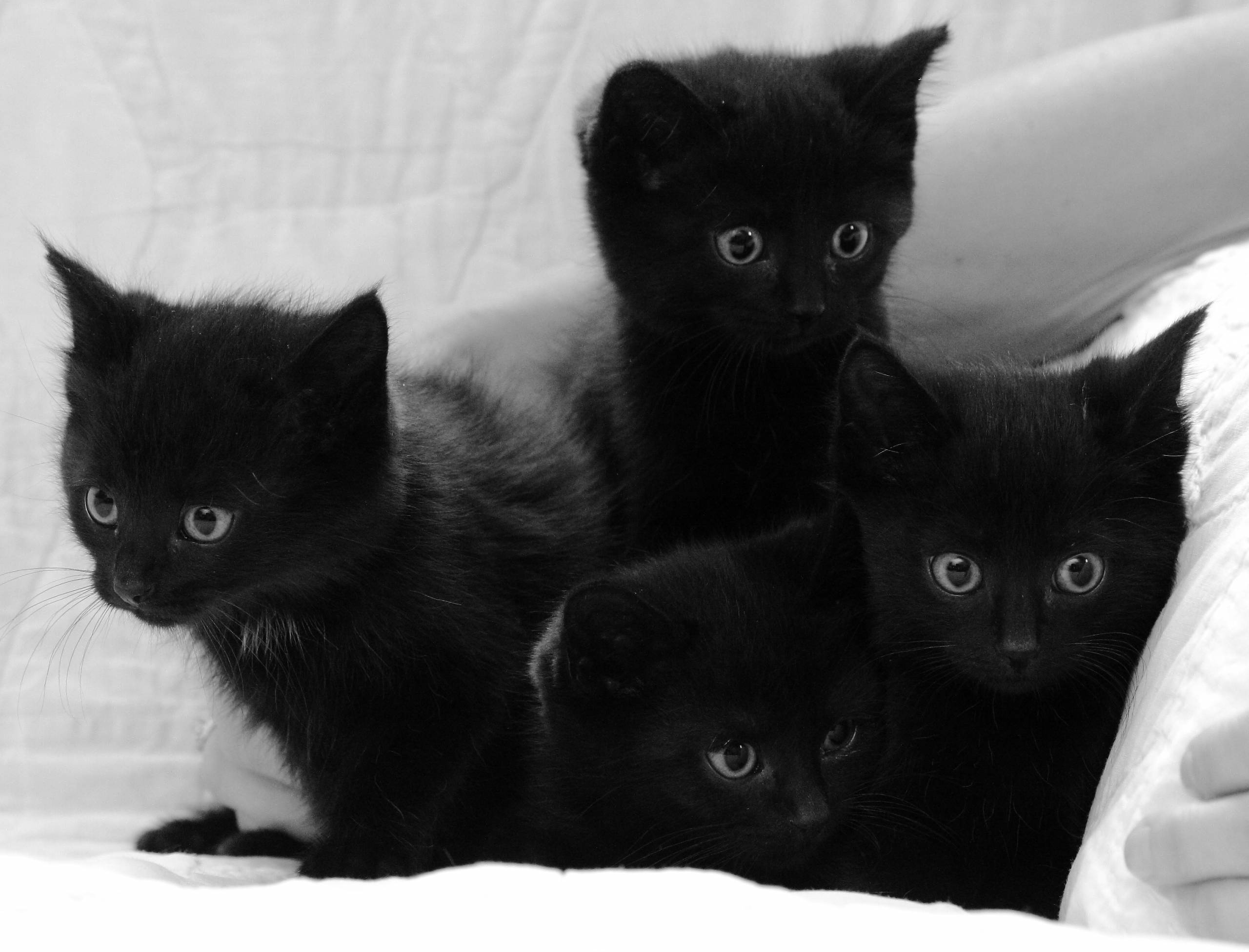 4 façons d'améliorer vos efforts marketing littéraire