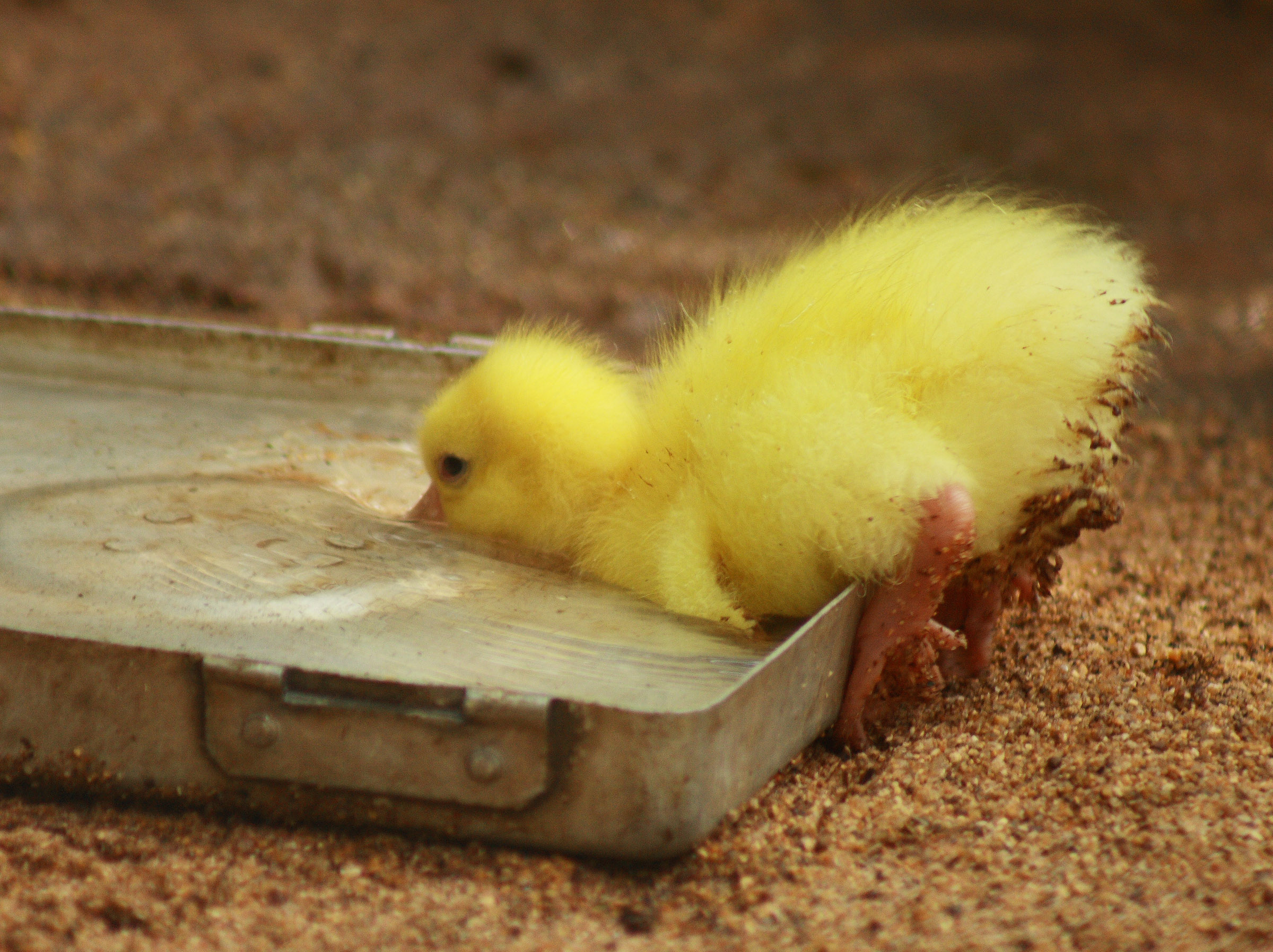 10 erreurs qui mettent à mal le trafic de votre blog