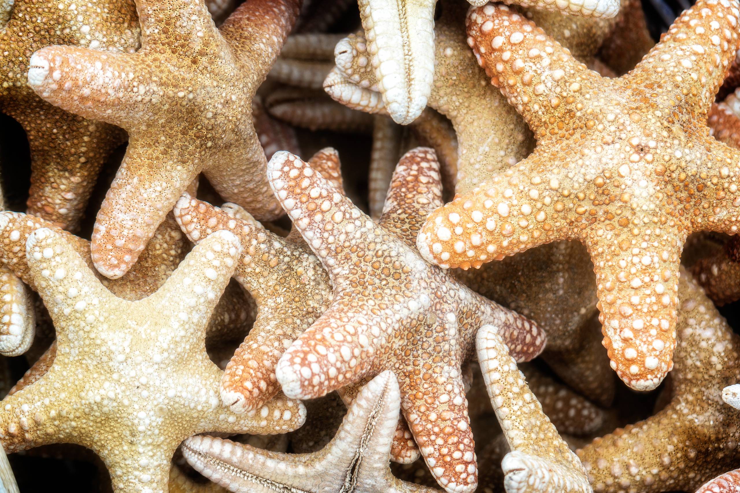 Histoire médiocre ? Voici comment l'améliorer.